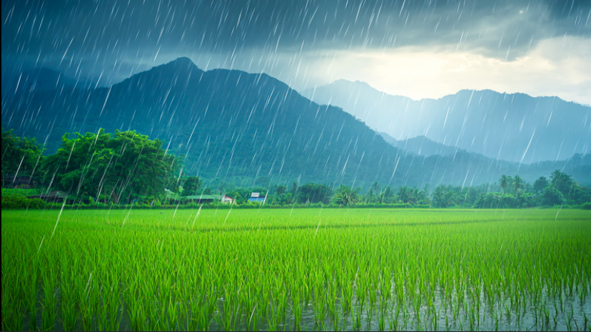 இன்றைய முக்கிய செய்தி